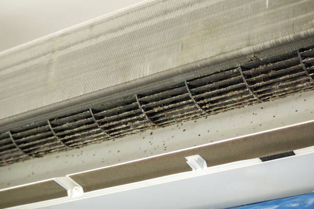 Best HVAC System Cleaning  in Holualoa, HI